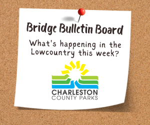 bridge-bulletin-board-300-x-250-px