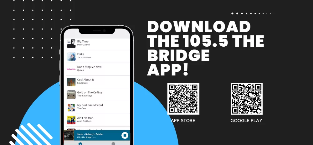 bridge-download-app