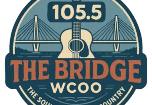 cropped-thebridge-favicon-png