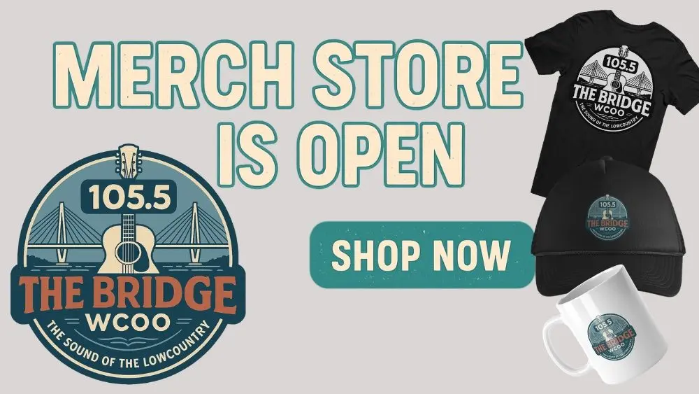 merch-store-website-flippers-the-bridge-merch-store-flipper