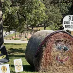 hay-bale-trail-43