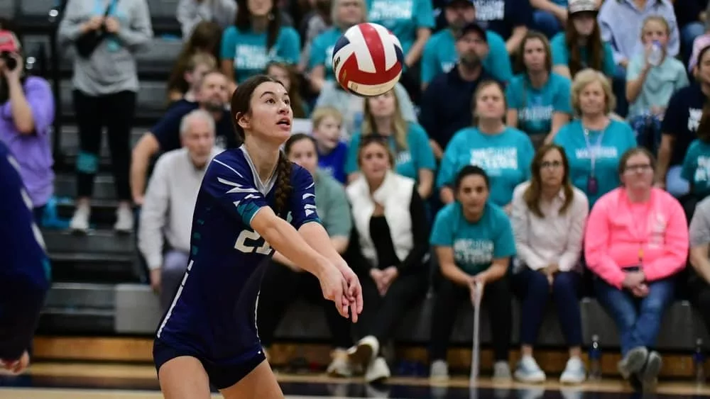 webp-net-resizeimage-2024-11-06t215915-515501835