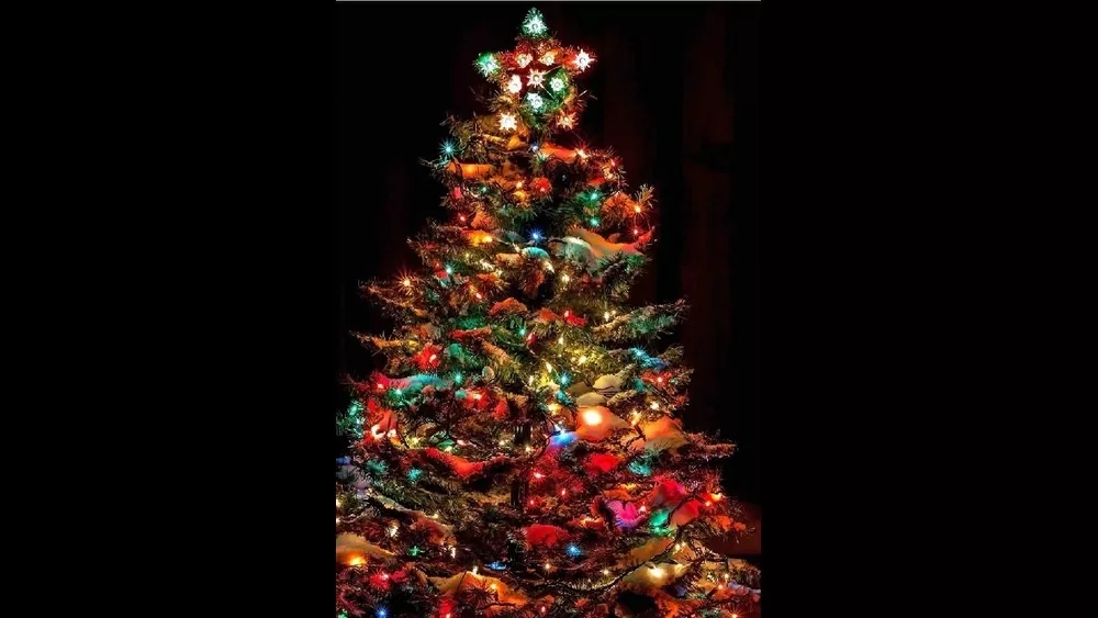 11-20-24-christmas-tree-jpg-3