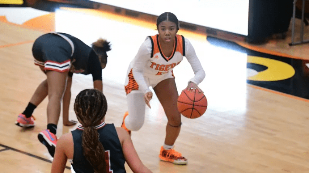 lady-tigers-file959930