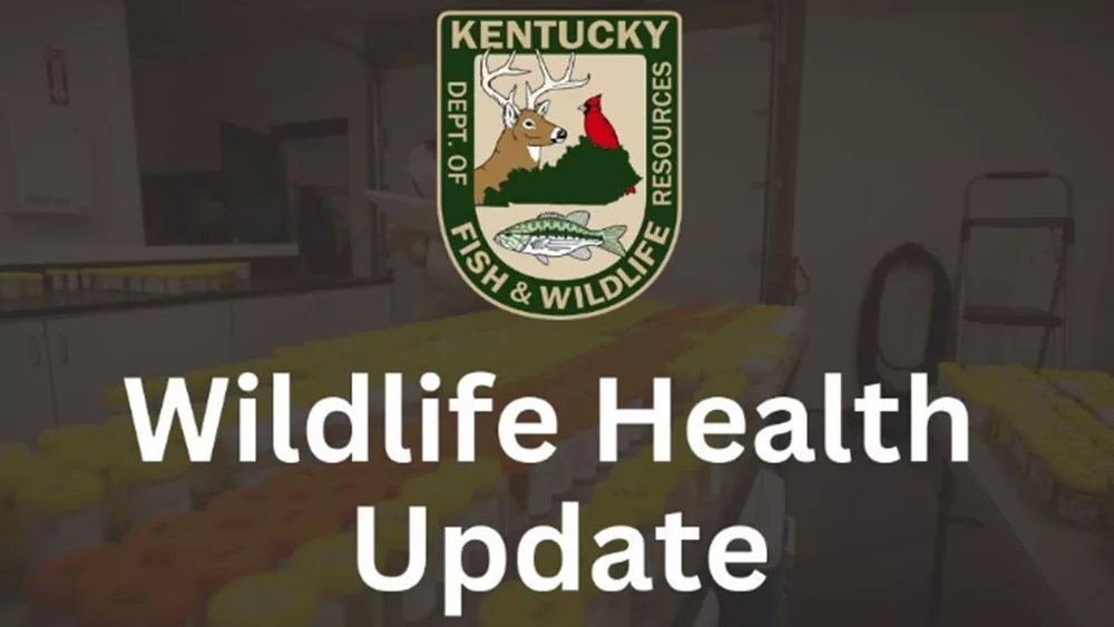 12-11-24-kfw-wildlife-health-update-graphic-2