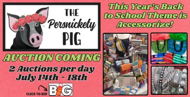 tpp-school-auction-coming-slider-png