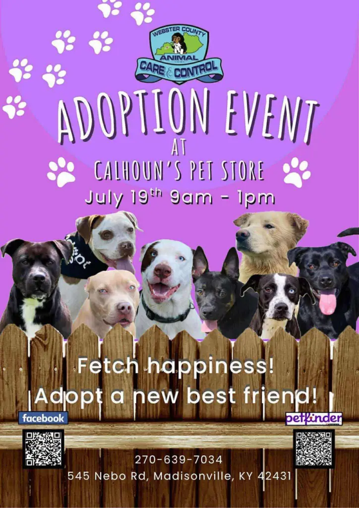 adoption-event