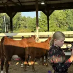 hopkins-county-madisonville-fair-5