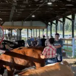 hopkins-county-madisonville-fair-9