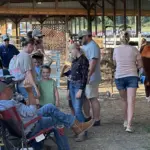 hopkins-county-madisonville-fair-13