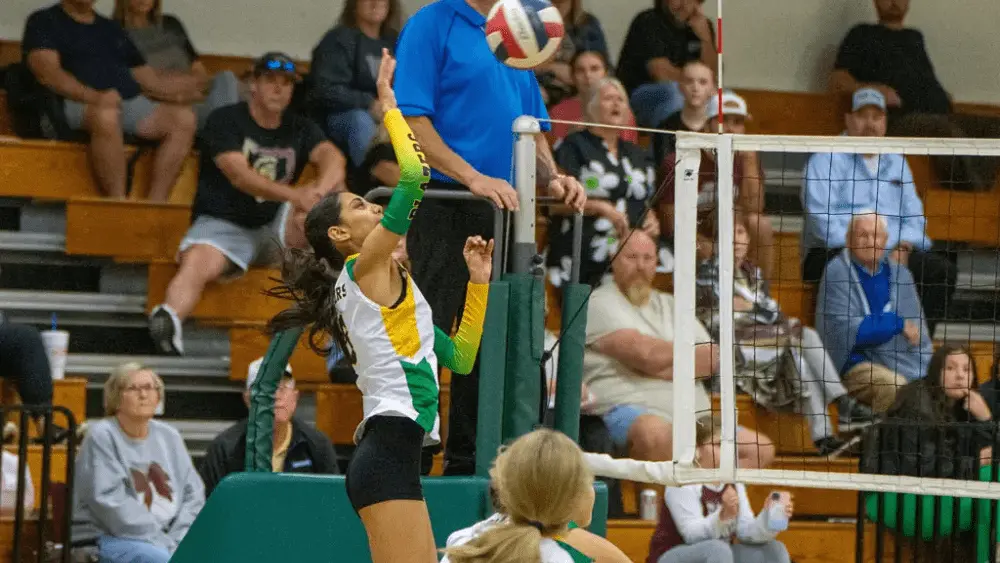 uha-vb-file-sept-17566398