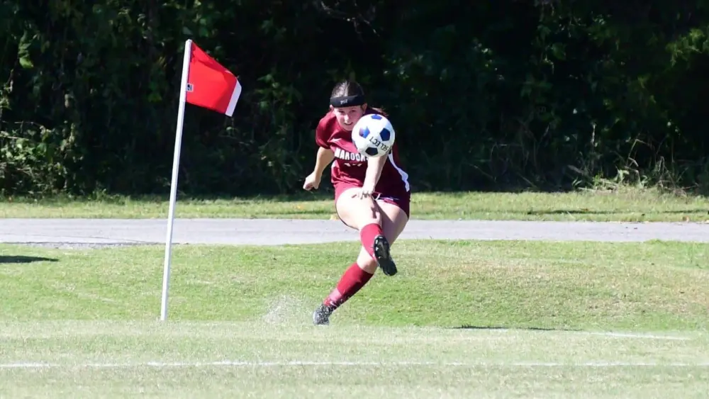dsc_3390-e1760217638151151412