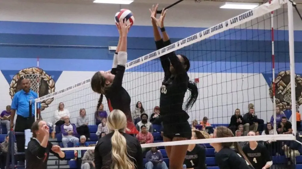 img_9329-e1761703623426520783