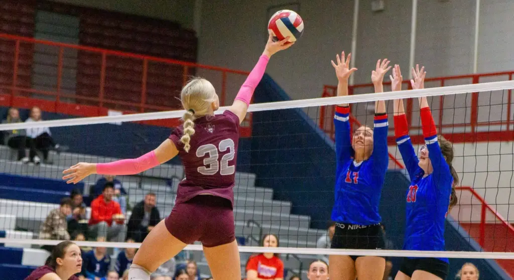 dsc03070-e1761805786380628771