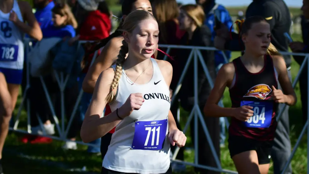 dsc_0453-e1762020442593306522