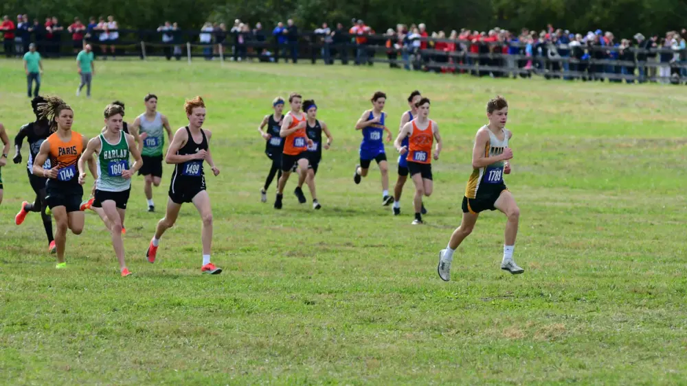 dsc_1185-e1762098646530654730