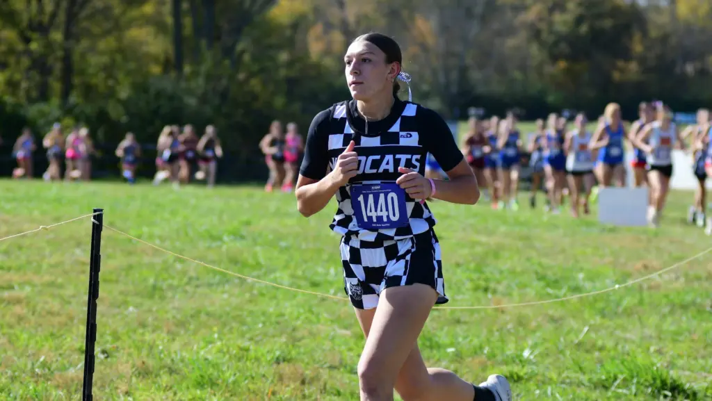 dsc_0870-e1762124885807298979