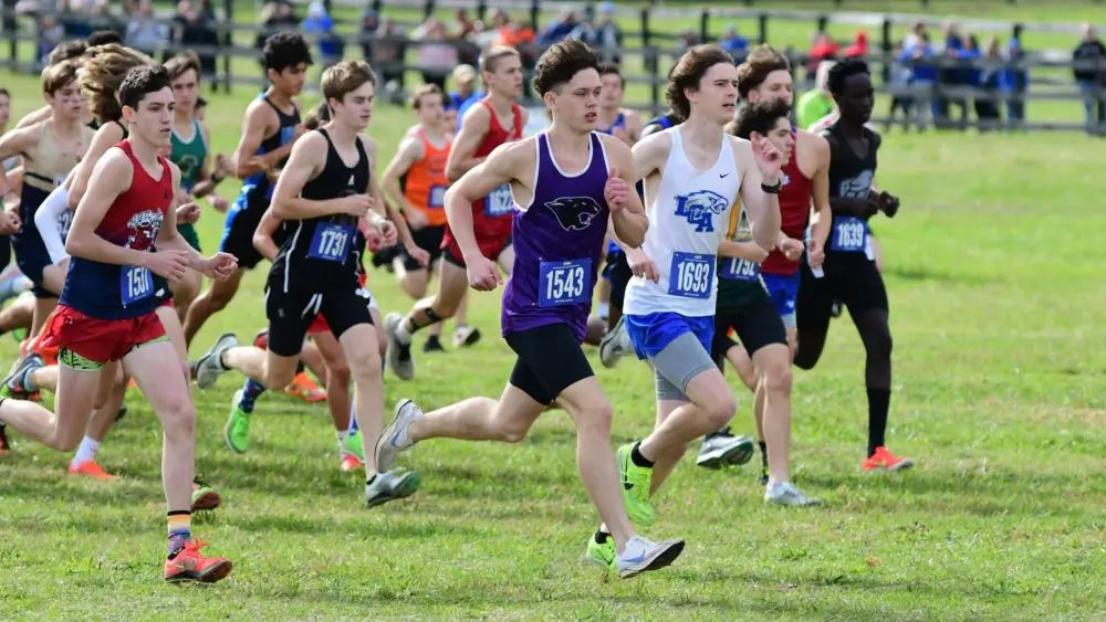 dsc_1199-e1762138785646156580