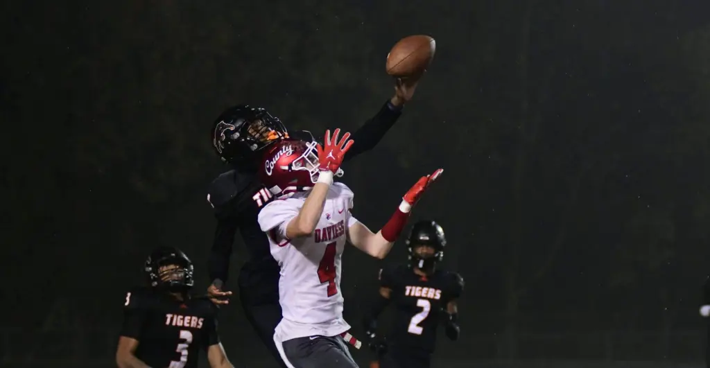 dsc_2800-e1762632346205339201