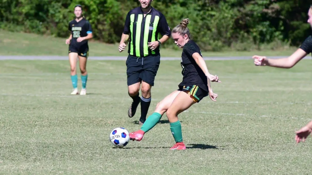 dsc_3138-e1764203362137605154