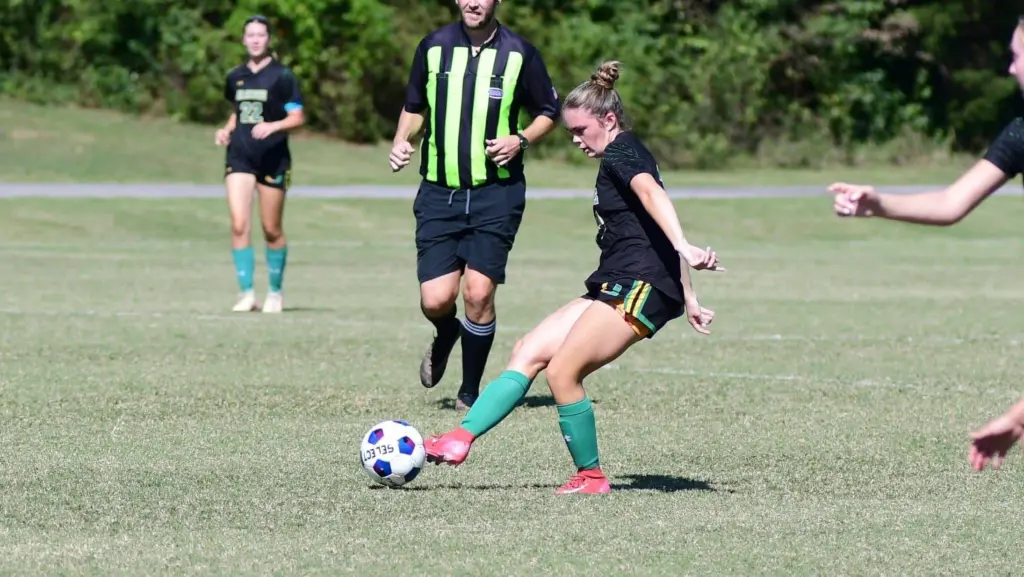 dsc_3138-e1764203362137605154