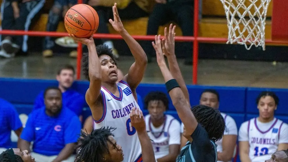 dsc06442-e1765009047926702606