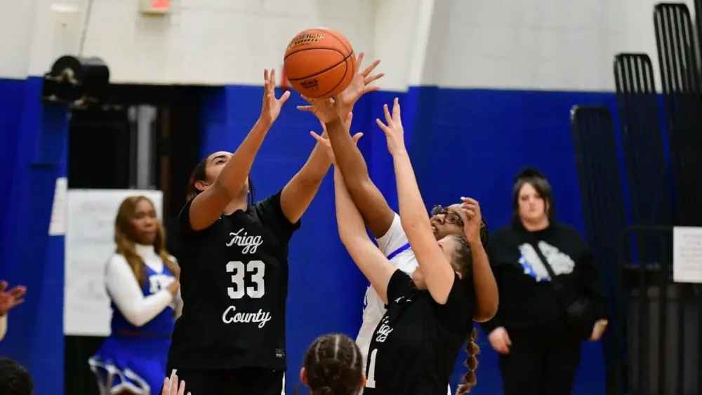 dsc_1211-e1765162246384915218