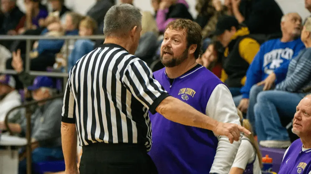 lady-lyon-file479080