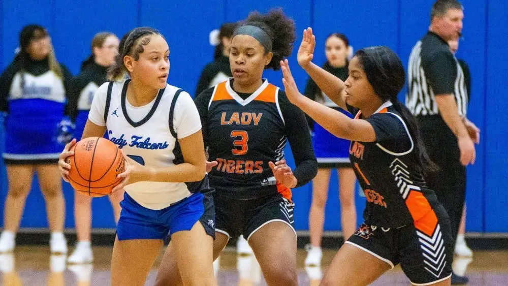 dsc06809-e1765418616274330856