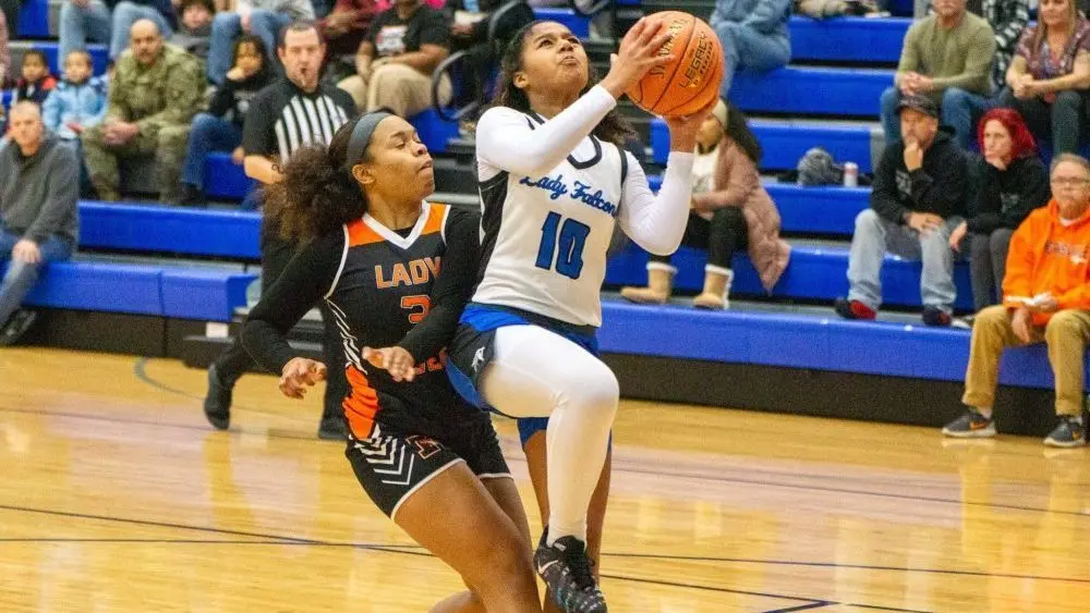 dsc06785-e1765418730490989401