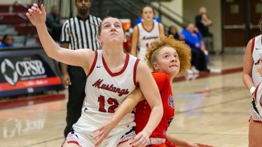 dsc07438-e1765680597946640330