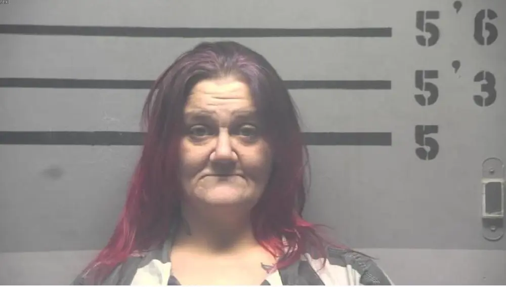 12-16-25-cheryl-brewer-mugshot