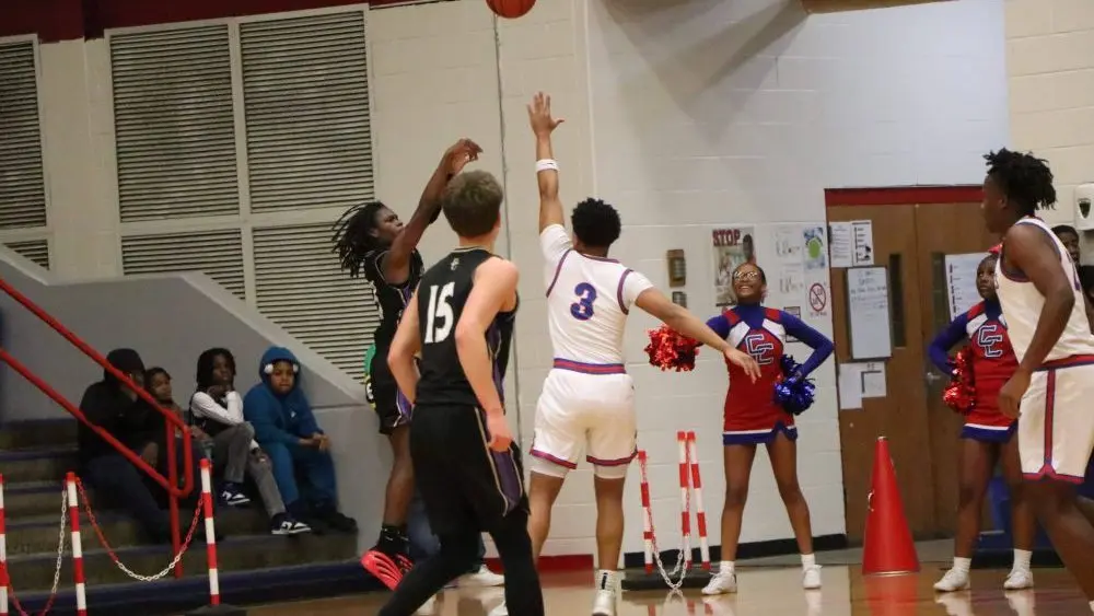 cols-purples-33-e1765991214100541050