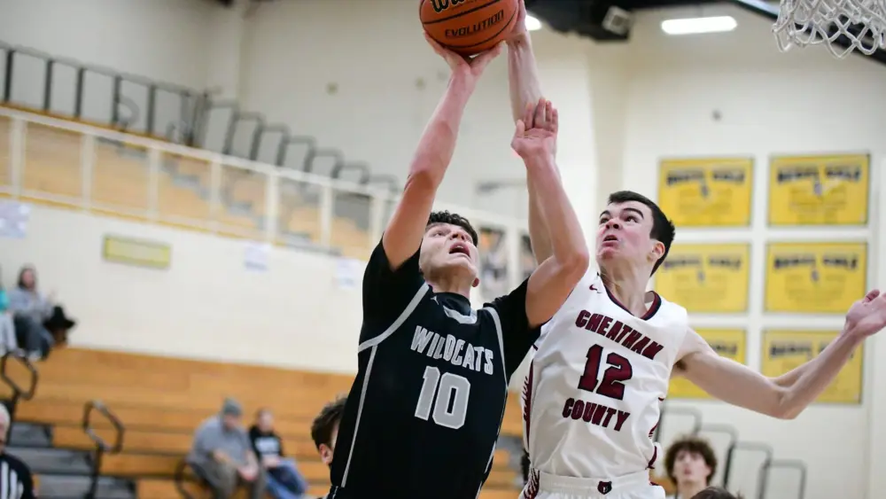 dsc_2073-e1767131272234698053