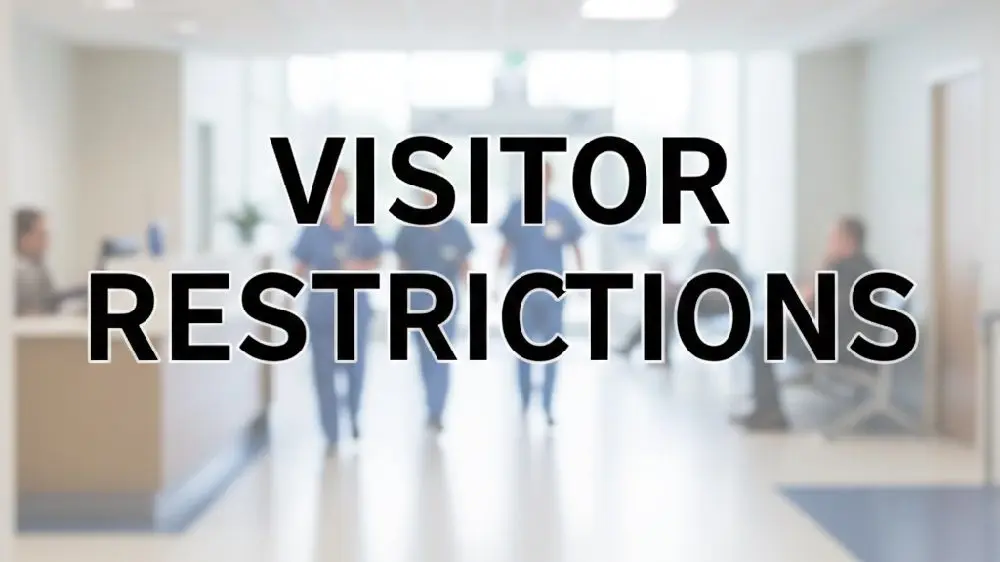 visitor-restrictions-graphic-google-gemini