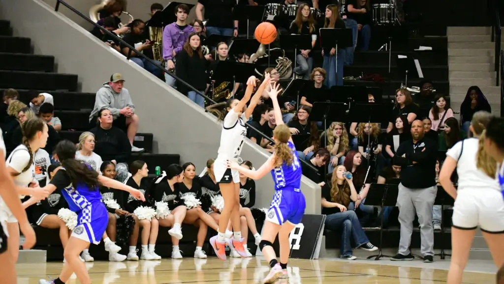 dsc_2608-e1767746593964246547