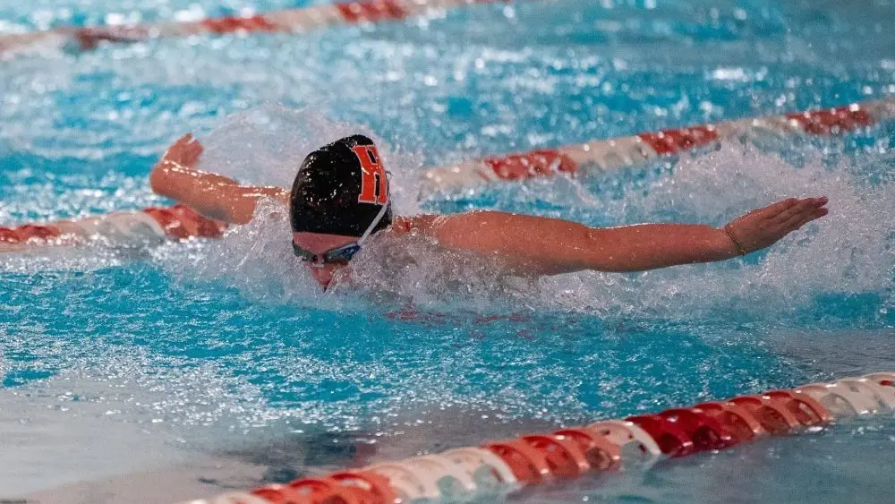 dsc00281-e1768378011768956964