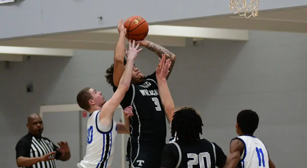 dsc_8926-e1768396608873338731