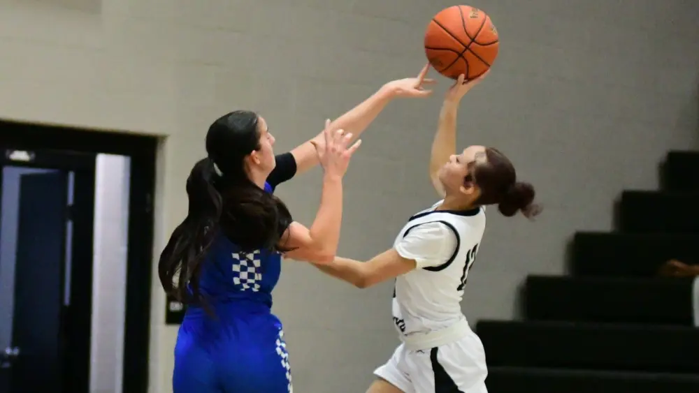 dsc_7119-e1770322604892806305