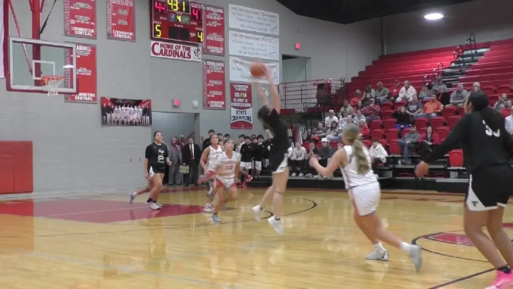 veyda2-e1770760689745876191