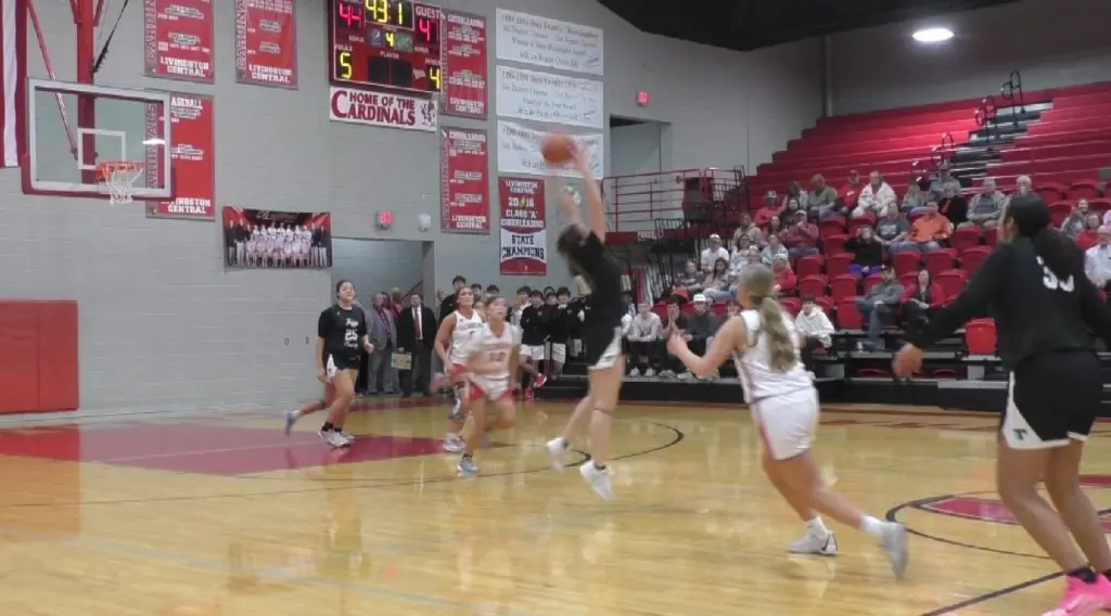 veyda2-e1770760689745876191