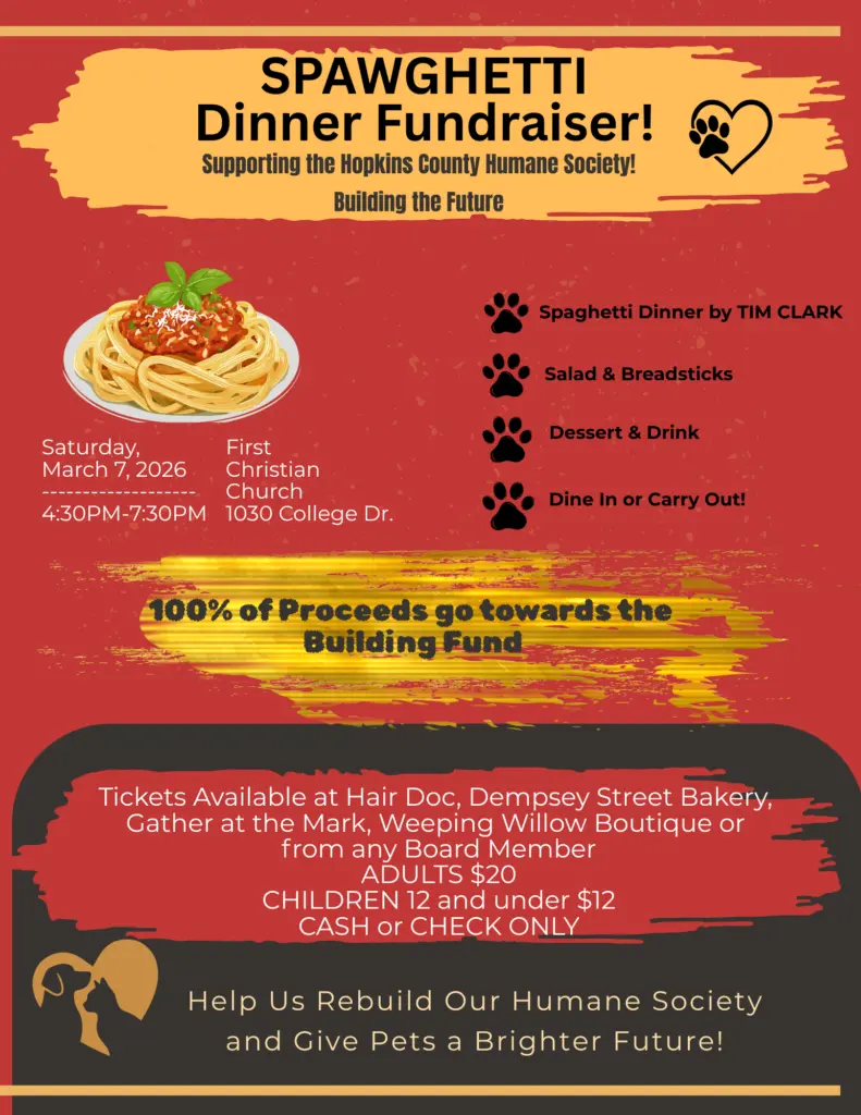 red-and-brown-illustrative-spaghetti-flyer-ra1313-6-4