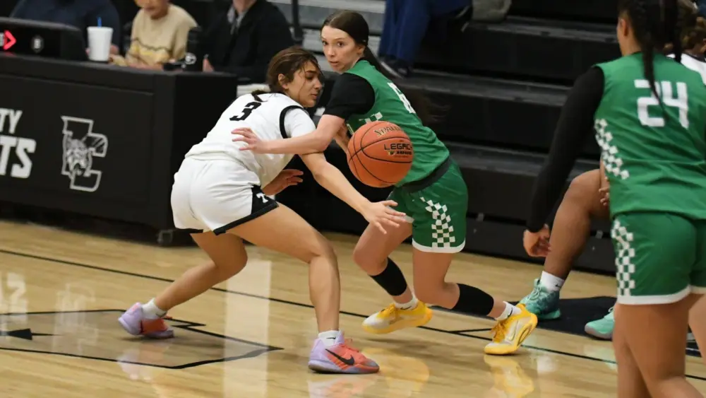 dsc_9677-e1771357640880104524