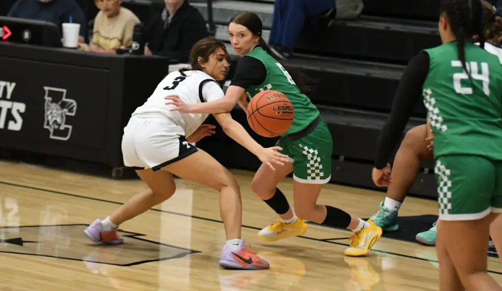 dsc_9677-e1771357640880104524