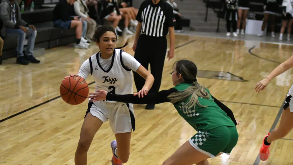 dsc_9785-e1771446876643697866