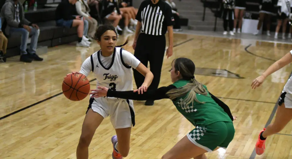 dsc_9785-e1771446876643697866