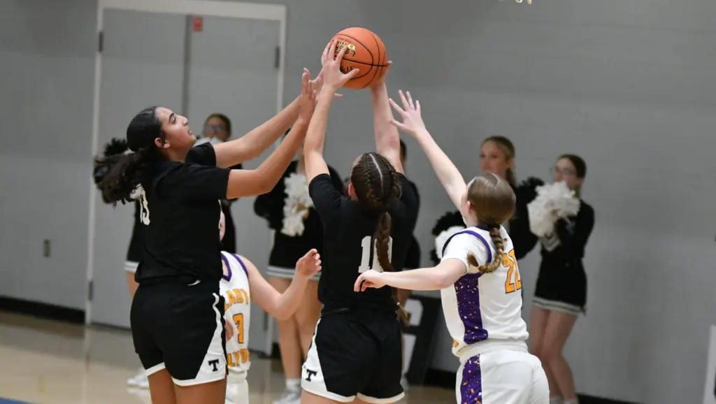 dsc_2546a-e1771962919129508227