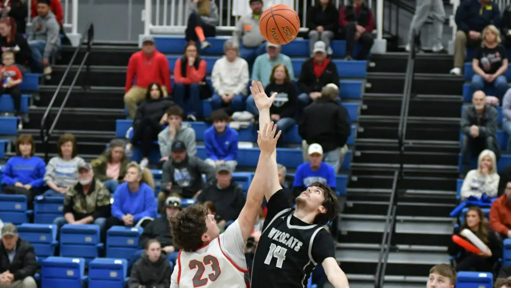 dsc_3038-e1772157341861580334