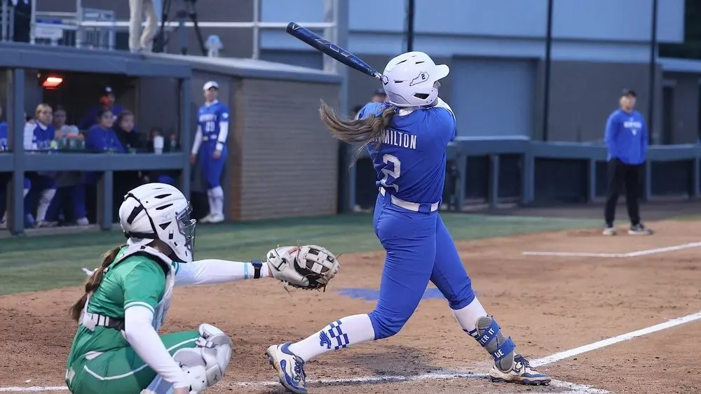 hamilton_homer_1000x563192992