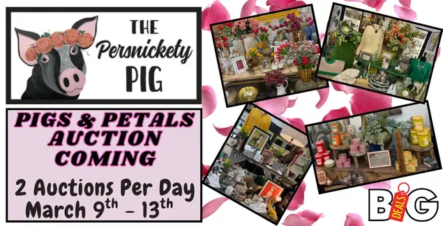 tpp-pre-auction-slider-png